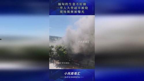 缅甸生意爆料视频,生意爆料视频深度解析