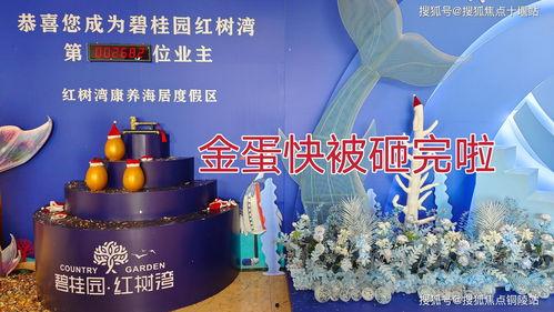 广西钦州新闻爆料电话,最新动态一触即达！”