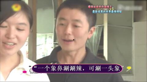 海扬村里人爆料事件视频,真相背后引人深思