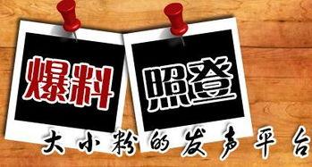 永德新闻爆料,揭秘当地热点事件背后的真相