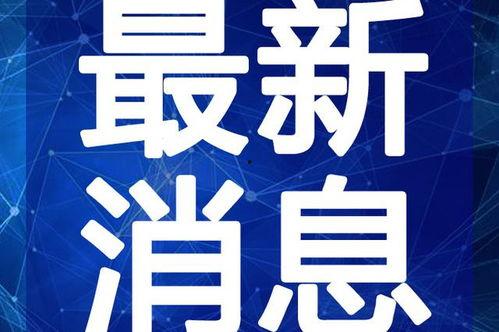 圈子名媛爆料视频大全最新,揭秘豪门背后的真实故事