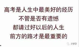 吃瓜群众免费版权,版权背后的真相与争议 第2张 吃瓜群众免费版权,版权背后的真相与争议 第2张