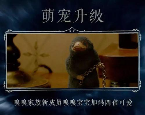 驺吾视频爆料是真的吗,驺吾视频爆料真实性揭秘 第3张 驺吾视频爆料是真的吗,驺吾视频爆料真实性揭秘 第3张
