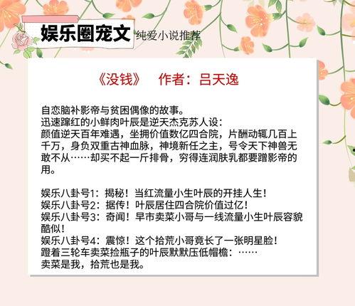 爆料娱乐圈投资小说,投资背后的秘密与权谋  第2张