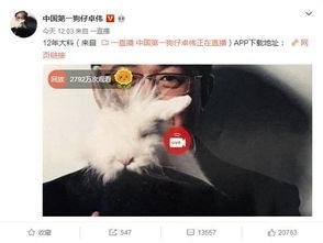 出轨事件爆料视频完整版,真相与情感纠葛全解析