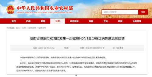邵阳县新闻爆料电话查询,民众关注焦点聚焦！
