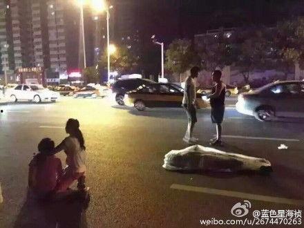 石家庄爆料撞人视频,现场视频曝光，警方介入调查