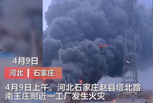 石家庄爆料撞人视频,现场视频曝光,警方介入调查 第3张 石家庄爆料撞人视频,现场视频曝光,警方介入调查 第3张