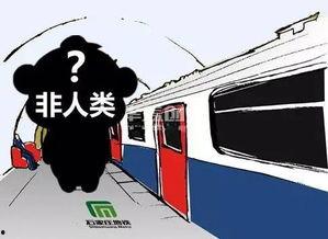 石家庄铁路最新爆料,揭秘未来交通蓝图  第3张