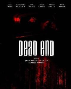 2003死路在线观看,揭秘惊悚悬疑背后的真实故事  第2张