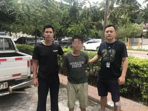 德庆最新爆料案件,惊人真相揭露背后黑幕 第2张 德庆最新爆料案件,惊人真相揭露背后黑幕 第2张