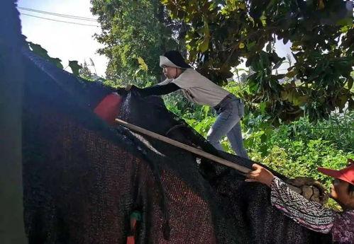 小甜瓜实锤爆料视频下载,事件全貌深度解析  第2张