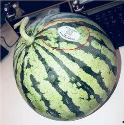 718网红吃瓜,揭秘娱乐圈幕后真相 第2张 718网红吃瓜,揭秘娱乐圈幕后真相 第2张