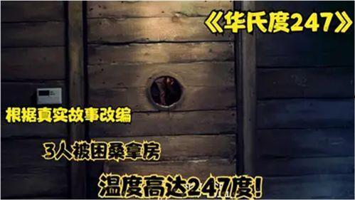 华氏247在线观看,揭秘极端高温下的生存挑战  第3张