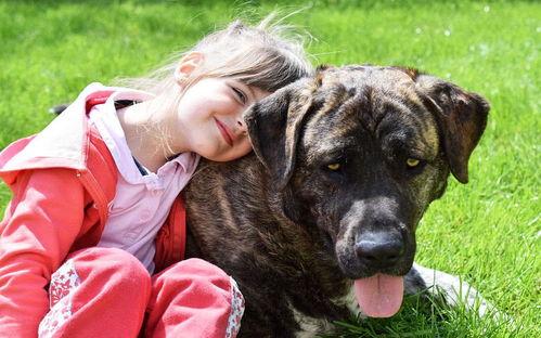 假如狗会说话娱乐吃瓜酱,娱乐吃瓜酱带你领略狗狗界的趣味日常  第2张