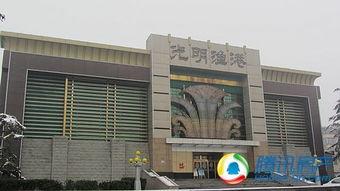 光明渔港爆料视频,海鲜市场背后的真实情况