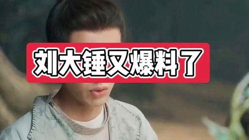 刘大锤抖音号爆料视频,揭秘幕后真相！