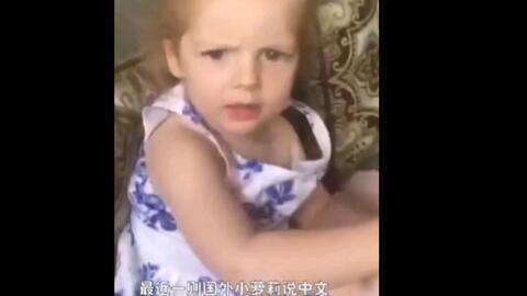 中国熊熊在线观看,在线观看，感受国宝魅力  第2张