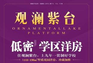 岳阳最新爆料新闻报道,揭秘神秘事件背后的真相  第3张