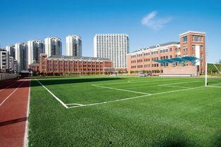 汕头莲东中学校最新爆料,揭秘校园风云背后的故事 第3张 汕头莲东中学校最新爆料,揭秘校园风云背后的故事 第3张