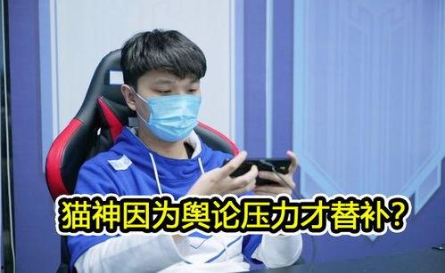 猫神爆料王添龙视频,王添龙幕后视频曝光，精彩瞬间不容错过  第3张