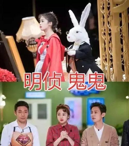 娱乐圈团宠心声吃瓜文,揭秘明星背后的真实生活与心酸历程  第2张
