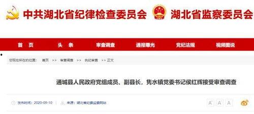 咸宁今日爆料最新消息查询,揭秘今日重大事件幕后真相  第2张