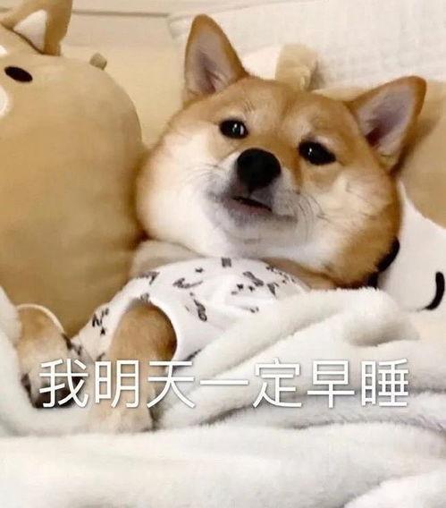 吃瓜大爆料合集视频大全,揭秘合集视频中的热点事件与幕后真相 第1张 吃瓜大爆料合集视频大全,揭秘合集视频中的热点事件与幕后真相 第1张