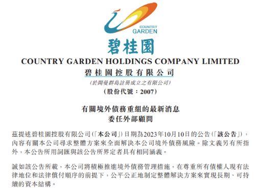 碧桂园爆料最新消息债务,揭秘最新债务动态与应对策略