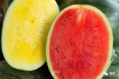 高端网红吃瓜视频,揭秘幕后真相与热门话题