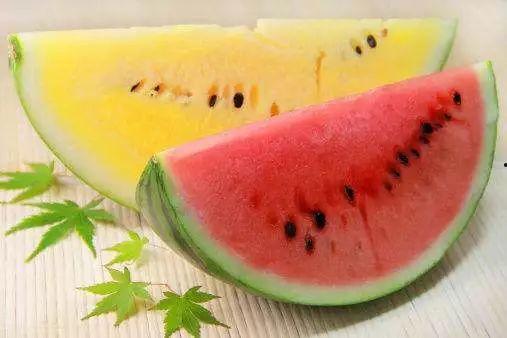 高端网红吃瓜视频,揭秘幕后真相与热门话题  第2张