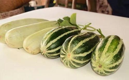 高端网红吃瓜视频,揭秘幕后真相与热门话题  第3张