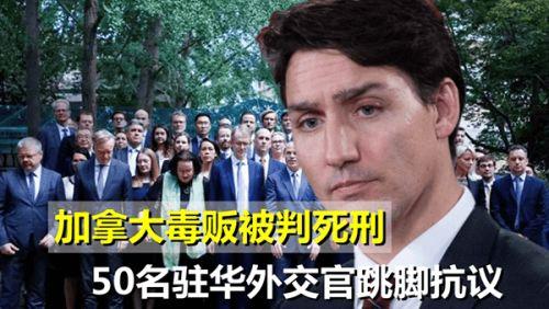 法外治权在线观看,揭秘网络世界的权力游戏 第3张 法外治权在线观看,揭秘网络世界的权力游戏 第3张