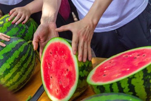 吃瓜爆料免费进学校,吃瓜爆料免费进学校的神秘内幕 第2张 吃瓜爆料免费进学校,吃瓜爆料免费进学校的神秘内幕 第2张