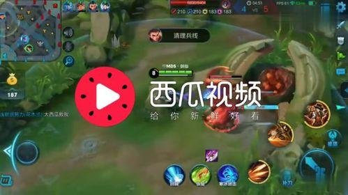 娱乐吃瓜视频背景音乐,揭秘娱乐吃瓜视频背后的音乐魅力 第3张 娱乐吃瓜视频背景音乐,揭秘娱乐吃瓜视频背后的音乐魅力 第3张