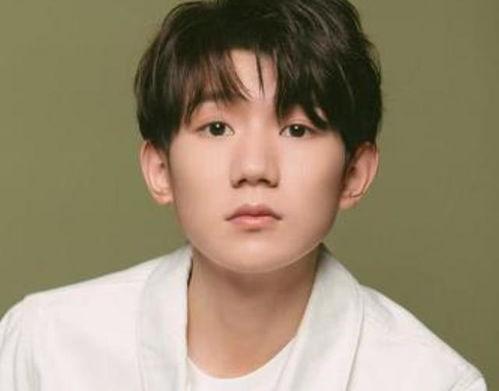 圈内人爆料王源,圈内人爆料背后的真实故事 第2张 圈内人爆料王源,圈内人爆料背后的真实故事 第2张