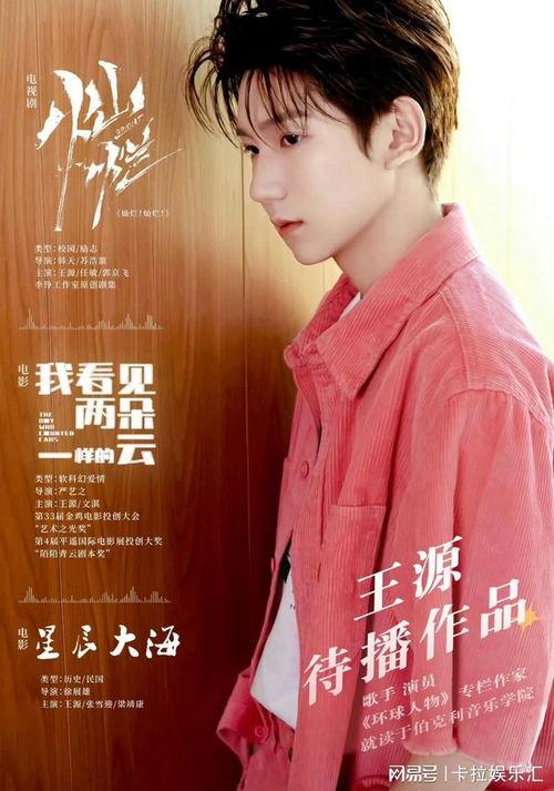 圈内人爆料王源,圈内人爆料背后的真实故事 第3张 圈内人爆料王源,圈内人爆料背后的真实故事 第3张