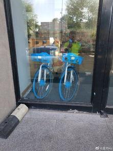 长春共享自行车爆料视频,揭秘背后真相与问题