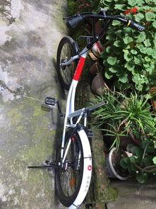 长春共享自行车爆料视频,揭秘背后真相与问题 第3张 长春共享自行车爆料视频,揭秘背后真相与问题 第3张