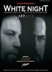 在线观看白夜,探寻都市光影下的心灵迷宫
