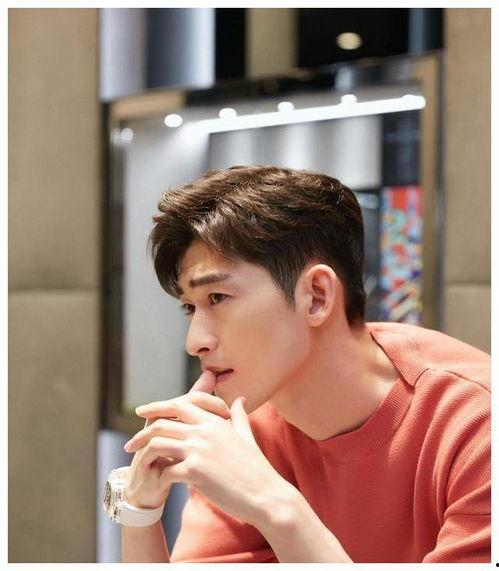 张翰爆料娱乐圈,张翰揭露惊人内幕 第2张 张翰爆料娱乐圈,张翰揭露惊人内幕 第2张