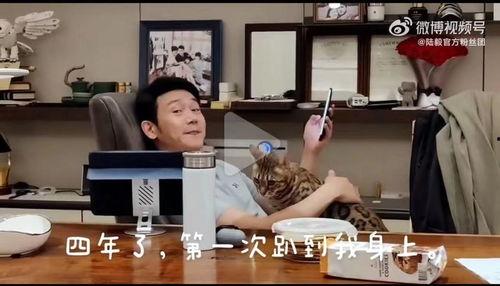 陆毅爆料贝儿视频全集,视频全集温情回顾 第3张 陆毅爆料贝儿视频全集,视频全集温情回顾 第3张