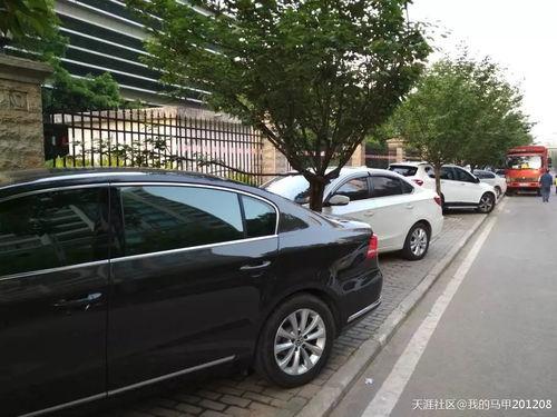 重庆停车爆料最新消息,最新爆料揭示停车难题解决方案 第3张 重庆停车爆料最新消息,最新爆料揭示停车难题解决方案 第3张