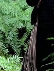 绝色匪王在线观看,风华绝代,乱世佳人 第2张 绝色匪王在线观看,风华绝代,乱世佳人 第2张