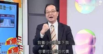 爆料台湾名嘴名单最新消息,台湾名嘴名单大揭秘，热点事件背后真相揭晓