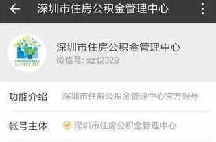 深圳人最新爆料,揭秘城市热点事件背后的真相 第3张 深圳人最新爆料,揭秘城市热点事件背后的真相 第3张