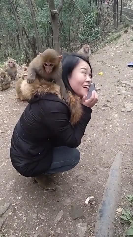 吴小新爆料猴子姐姐视频