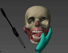 人体模型最新爆料视频网,最新爆料视频深度解析