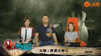 台湾怪谈在线观看,神秘传说在线揭秘之旅  第3张