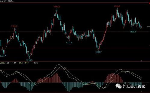 黄金期货最新爆料,市场动态与投资策略深度解析
